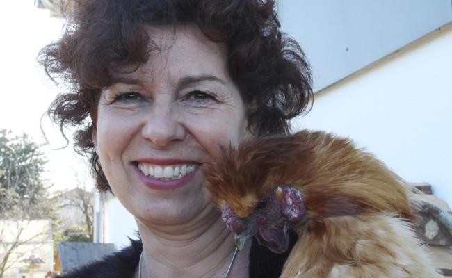 Ein Güggel verliert sein Zuhause