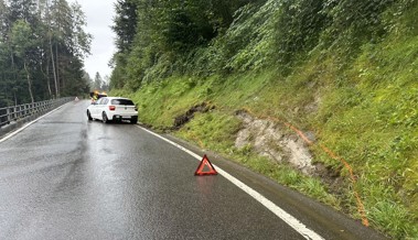 Alkoholisiert am Steuer: Fahrer kommt von der Strasse ab und fährt ins Wiesenbord