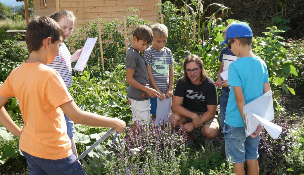 Kinder sollen mehr über die Zusammenhänge in der Natur und in der Umwelt lernen. Wie beispielsweise hier, im neuen Schulgarten in Rüthi.