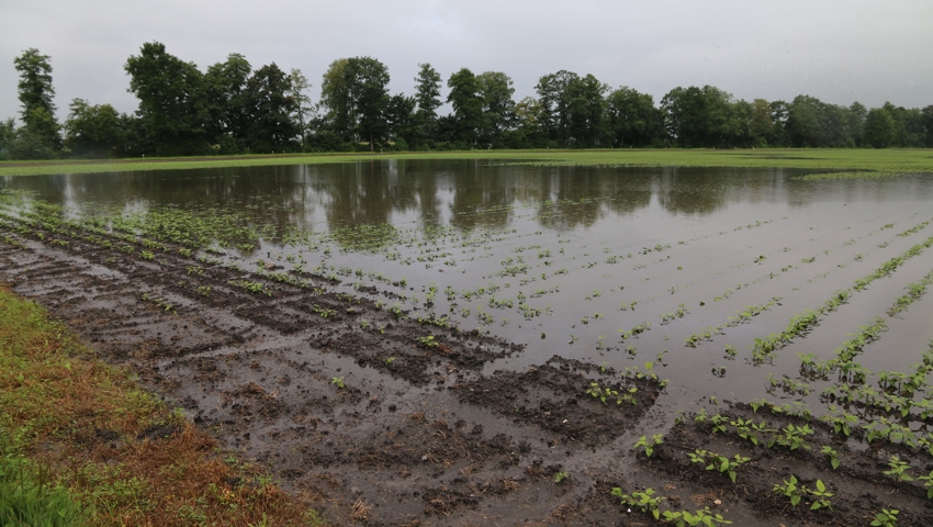 Der starke Regen setzt Felder unter Wasser und lässt Flüsse anschwellen