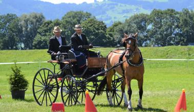 Rheintaler und Bündner Fahrer vorne