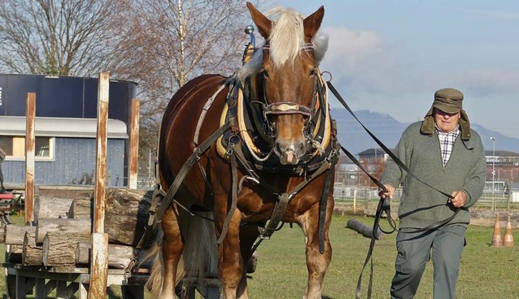 Walter Spirig mit seinem Pferd Lolita beim Training auf der Übungsanlage «Im Sand». 