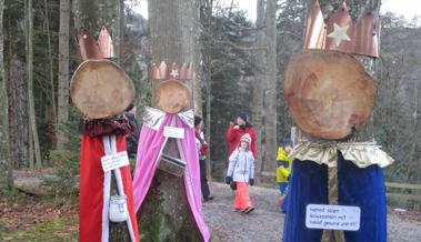 Vom Waldpark zum Weihnachtswald