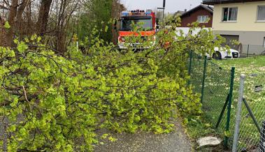 Huebstrasse von Baum blockiert