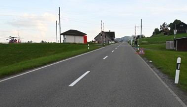 Motorradfahrer verunfallt wegen Insekt unter dem Helm