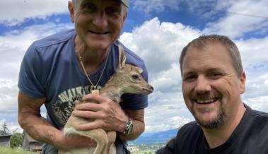 Hirschkalb Vaiana ist zwei Wochen alt