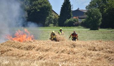 Vermutlich wegen einer Zigarette: In Balgach brannte ein Feld