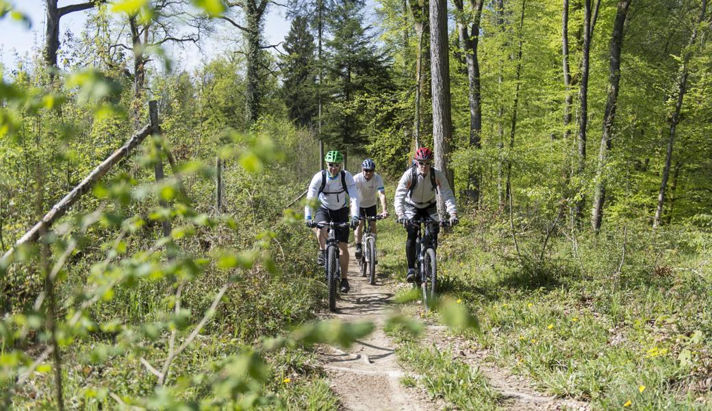 Biker auf Abwegen: Pure Lebensfreude oder öffentliches Ärgernis? 