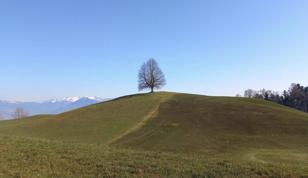 Spaziergang bei Walzenhausen