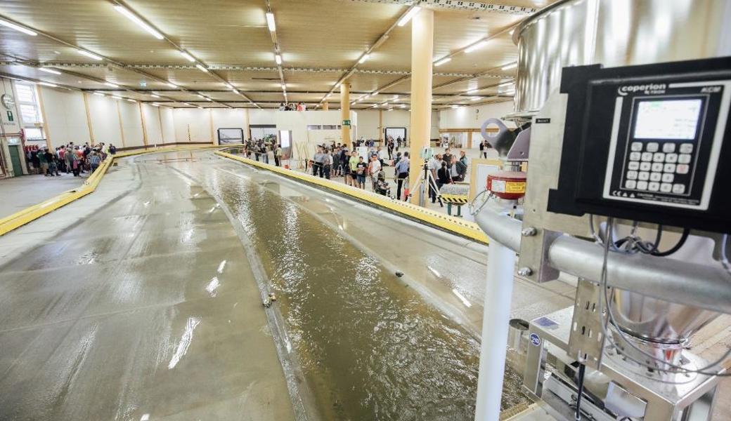 Die Rheinregulierung lädt zu einer Besichtigung der Rhesi-Modellversuchshalle in Dornbirn ein.