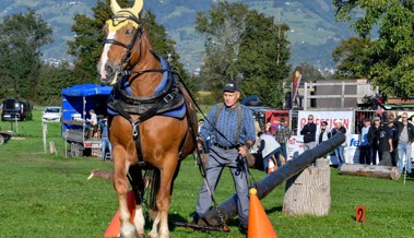 Gespann-Fahrverein und Holzrücker laden zum gemeinsamen Turnier