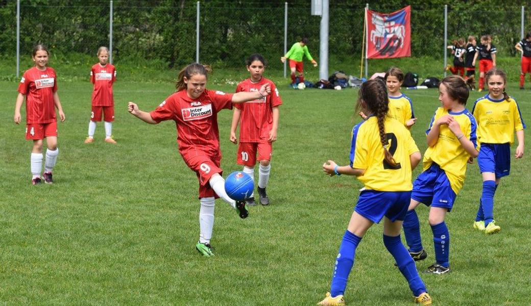 4. Klasse: Wyden Widnau gewinnt ein Spiel und scheidet in der Vorrunde aus.