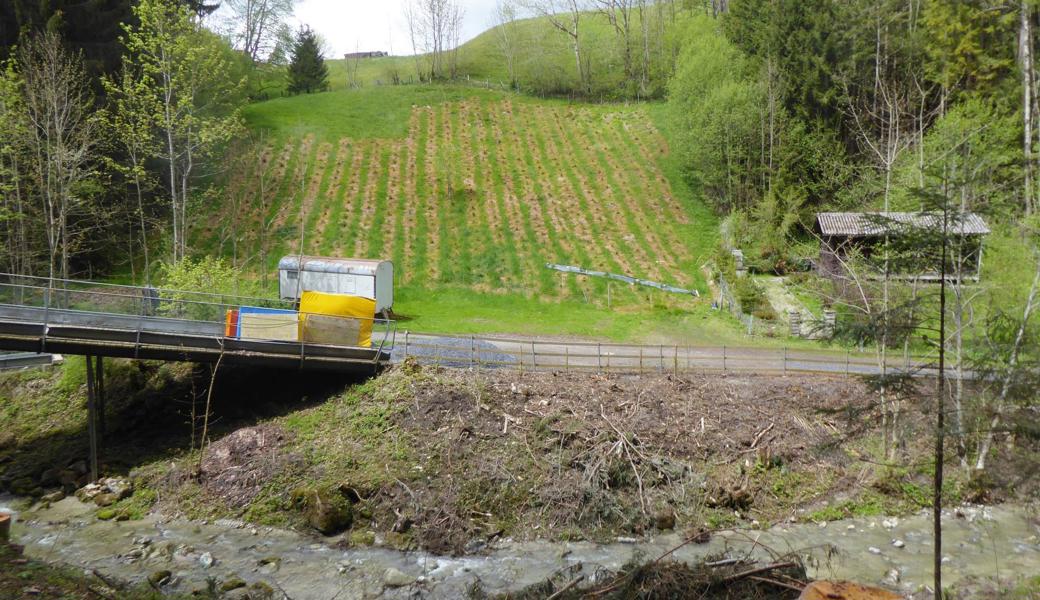 Die gelben Streifen in der Wiese oberhalb des Gstaldenbaches zeugen vom Gifteinsatz. Rechts davon steht Walter Walsers Bienenhaus.