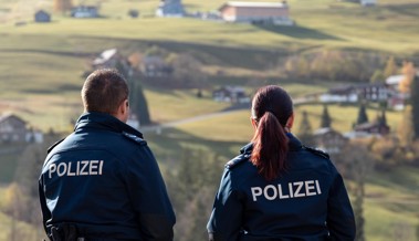 Flumserberg: Kühe verletzten Wanderer, Rega flog ihn ins Spital