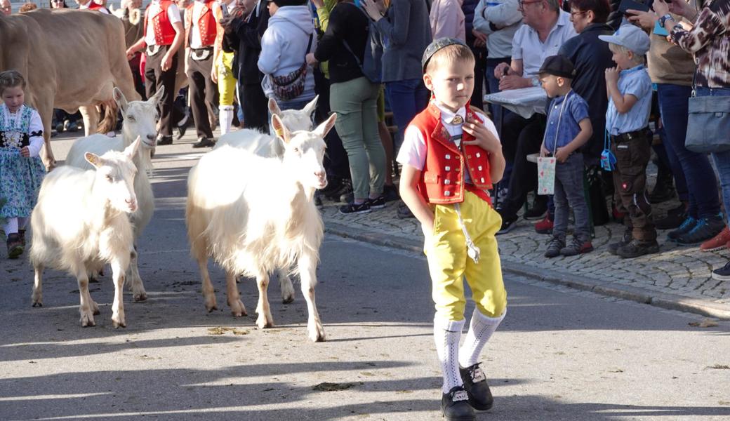 Die traditionelle Auffuhr nach Appenzeller Art ist eine Augenweide.