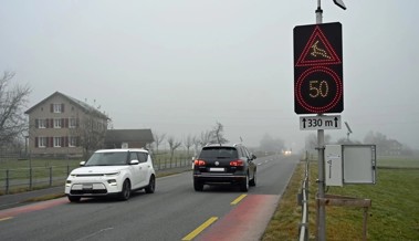 Mehr Sicherheit für Wildtiere und Autofahrer – modernste elektronische Wildwarnanlage überzeugt