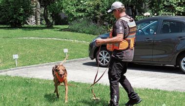 Rettungshundestaffel zu Besuch bei den Jugendsamaritern