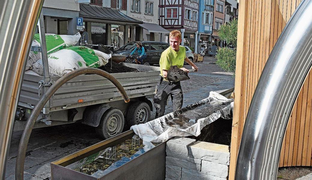 Colin Messmer von der Gärtnerei Messmer baut die Naturoase in der Marktgasse nach zwei Monaten zurück.