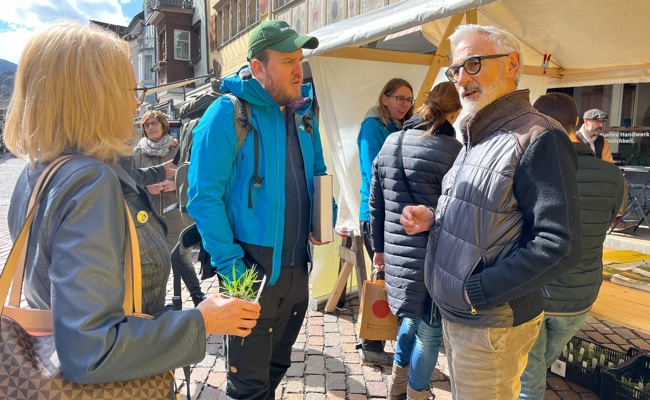 Naturnahe Gärten bieten den Siedlungsvögeln was sie brauchen
