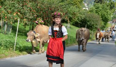 «Wyden»-Herbstmarkt mit Alpabzug