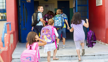 Sie sind bunt und teuer: Geschäft mit Schultheks boomt auch im Rheintal