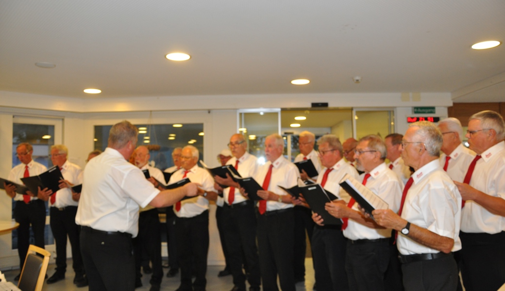 Unter der Leitung von Dirigent Martin Lechner sorgte der Leica-Chor im Altersheim Geserhus für gute Stimmung.