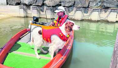 Rettungshund kann einen im Wasser liegenden Menschen riechen