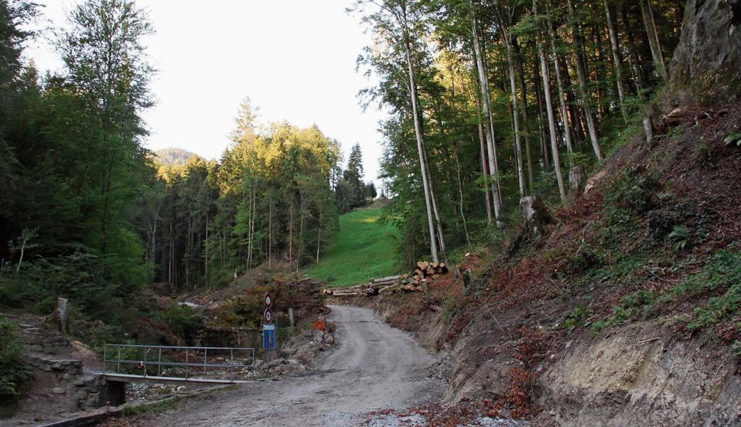 Im Waldpark sind schon vor dem Kahlschlag bei der Badi viele Bäume entfernt worden, damit sich der Tobelbach ausbauen lässt.
