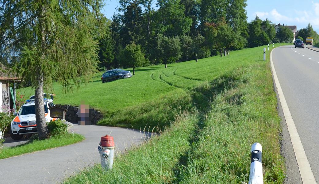 Neben dem Steinerstich kam das Auto auf einer Wiese zum Stillstand.