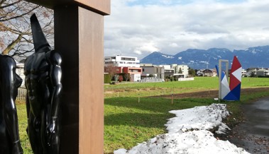 Was die farbig angesprühten Holzpflöcke auf der Wiese hinter den Kunstwerken bedeuten