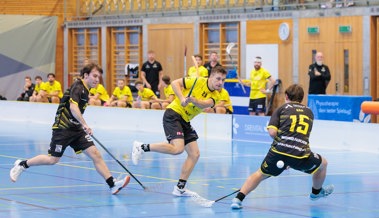 Richtungsweisendes Wochenende: Gators fordern Kellerteams
