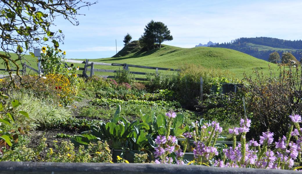 Ein gesunder Garten basiert auf Abwechslung und Biodiversität.   