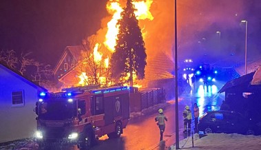 Feuer zerstört ein Doppelhaus komplett - 130 Feuerwehrleute standen im Einsatz