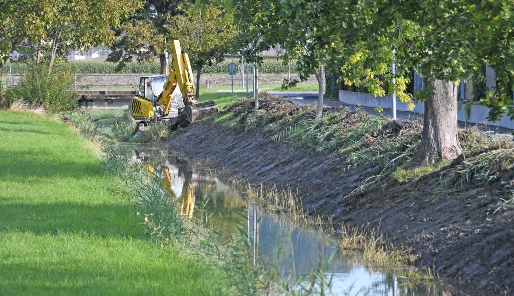 Der Littenbach ist immer wieder Gegenstand von Massnahmen zum Hochwasserschutz.