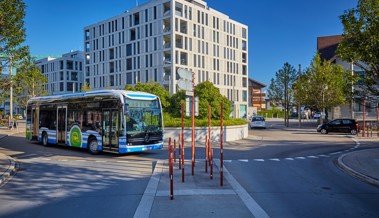 Ein Busfahrer findet das Glück der Erfüllung