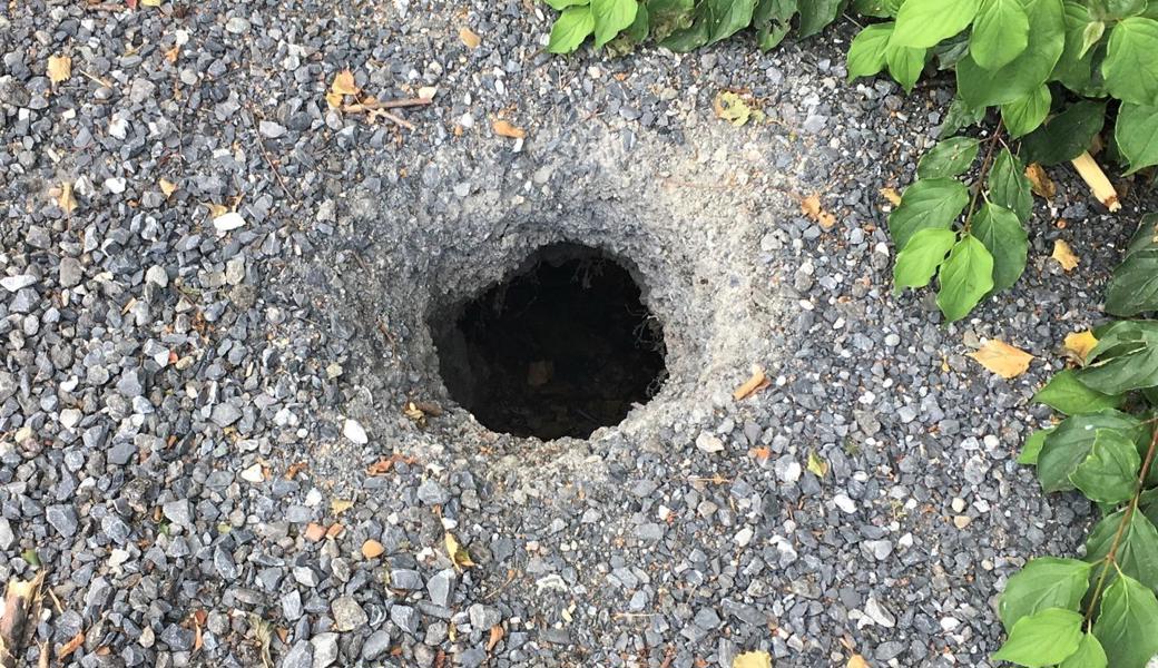 Löcher in Wegen, die durch den Höhlenbau entstehen, sind potenzielle Fallen für Fussgänger, Reiter und andere Verkehrsteilnehmer.