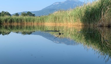 Gedanken zur Ferienzeit: Wie sie uns zu innerer Ruhe führen kann