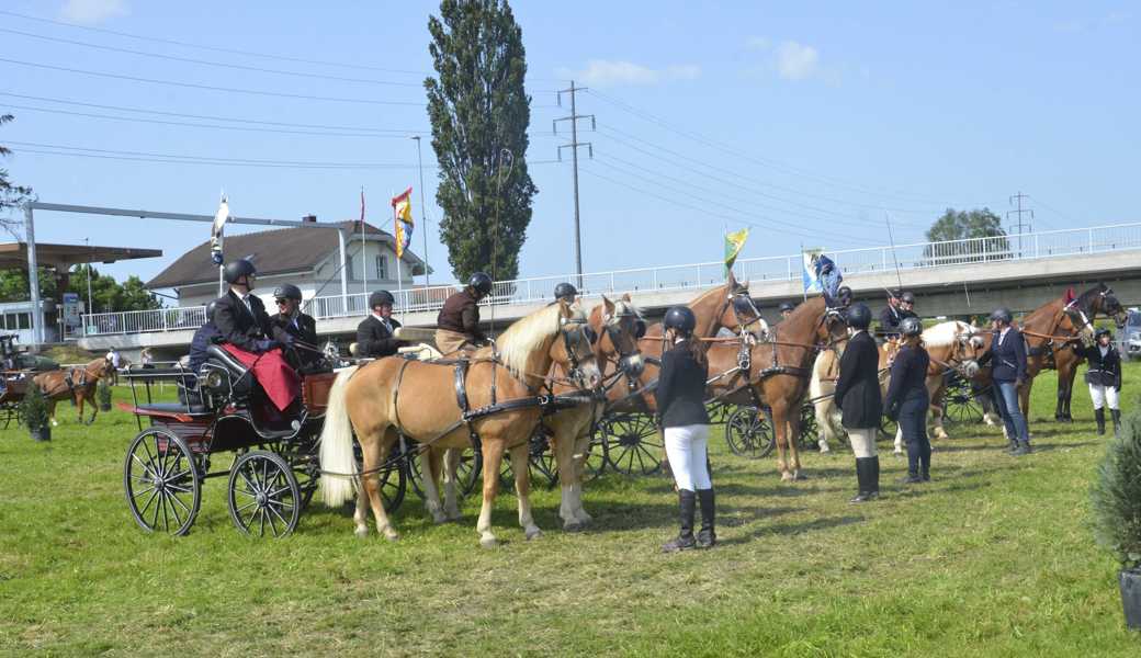 Das Gespannfahren vom Sonntag ist jeweils ein Höhepunkt der Pferdesporttage des Pferdezuchtvereins Rheintal und Umgebung in Kriessern. 