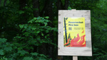 Waldbrandgefahr sinkt: Oberrheintaler Gemeinden heben Feuerverbot auf