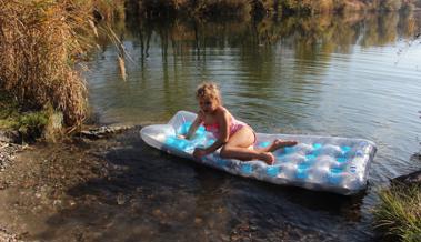 Altweibersommer am Alten Rhein