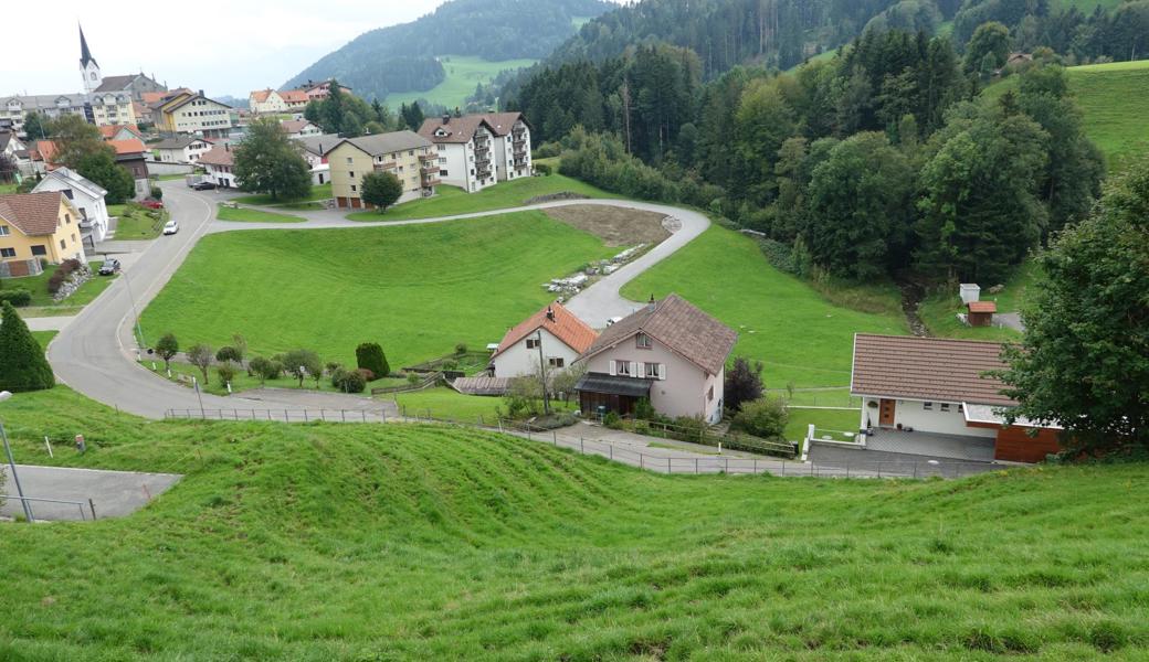 Die Liegenschaft Kalkofen von Norden her. Links die St. Antonstrasse, rechts die Erschliessung des Baugebiets. Überbaut wird der Bereich innerhalb der Strassenkurve. Die Fläche rechts der Strasse bis zum Fallbach ist als Freihaltezone ausgeschieden.