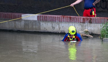 Grosseinsatz wegen vermisster Schwimmerin im Bodensee, die zu Fuss zurückkehrte