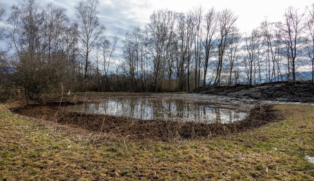 So präsentiert sich der südliche Weiher nach dem Ausbaggern. Vor dem Eingriff war die Wasserfläche nicht mehr zu sehen.