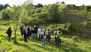 Rutschhang beobachtet: grosse Artenvielfalt in einer unruhigen Landschaft