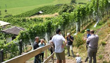 Biodiversität als Grundlage im Rebberg