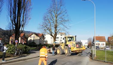 Linde zügelt im Schritttempo durch St.Margrethen