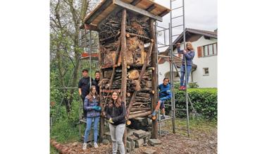 Abheben für Biodiversität