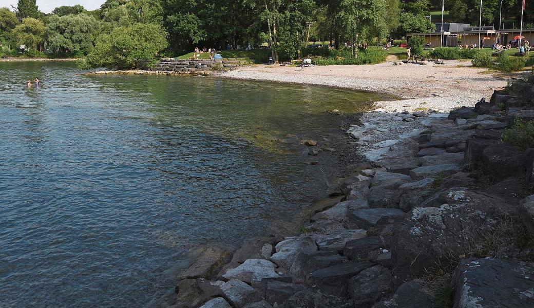 Im Sommer 2018 war der Wasserstand im Hörnlibuck um einiges höher als jetzt im Februar.