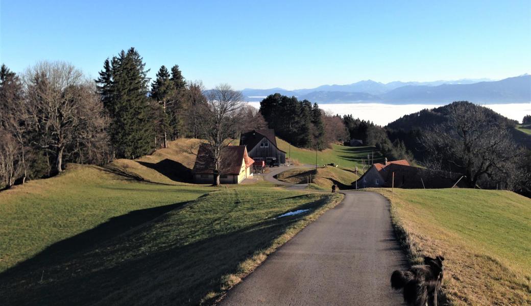 An den «Rondomwegen» bieten sich herrliche Panoramaaussichten ins Rheintal.