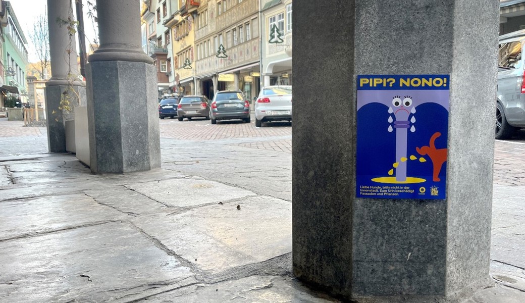 Mit Plakaten gegen wild pinkelnde Hunde: «Pipi-Pausen bitte im Grünen»